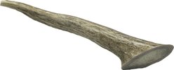 HOTSPOT PETS 6 to 9-in Whole Deer Antler Dog Treats, Medium, 1 count slide 2 of 9