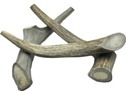 HOTSPOT PETS 6 to 9-in Whole Deer Antler Dog Treats, Medium, 3 count slide 2 of 9