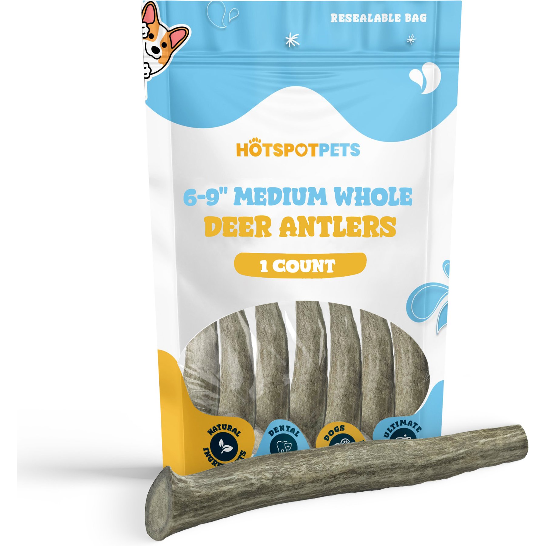 HOTSPOT PETS 6 to 9-in Whole Deer Antler Dog Treats, Medium, 1 count