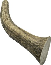 HOTSPOT PETS 5 to 6-in Whole Elk Antlers Dog Treats, Medium, 1 count slide 2 of 9