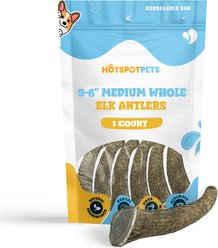 HOTSPOT PETS 5 to 6-in Whole Elk Antlers Dog Treats, Medium, 1 count