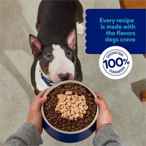 Chewy Made Savory Toppers Salmon Recipe in Gravy Grain-Free Dog Food Topper (FORMERLY AMERICAN JOURNEY), 3-oz pouch, case of 24