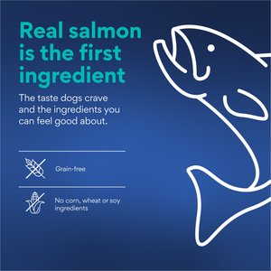 Chewy Made Savory Toppers Salmon Recipe in Gravy Grain-Free Dog Food Topper (FORMERLY AMERICAN JOURNEY), 3-oz pouch, case of 24