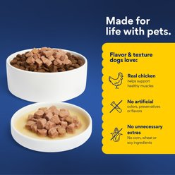 Chewy Made Savory Toppers Chicken Recipe in Gravy Grain-Free Dog Food Topper (FORMERLY AMERICAN JOURNEY), 3-oz pouch, case of 24 slide 2 of 9