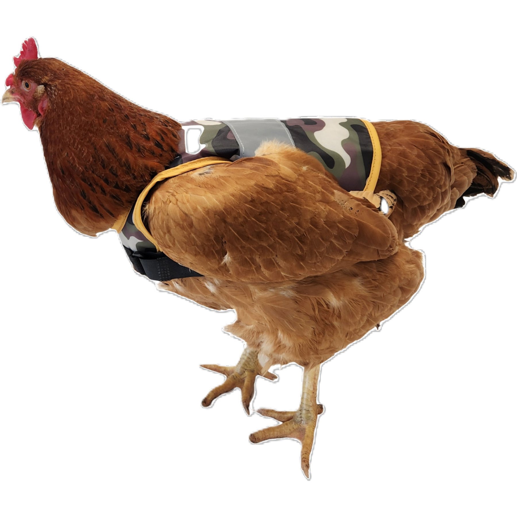 RUGG'egg' RANCH Chicken Comfort Saddle Camo