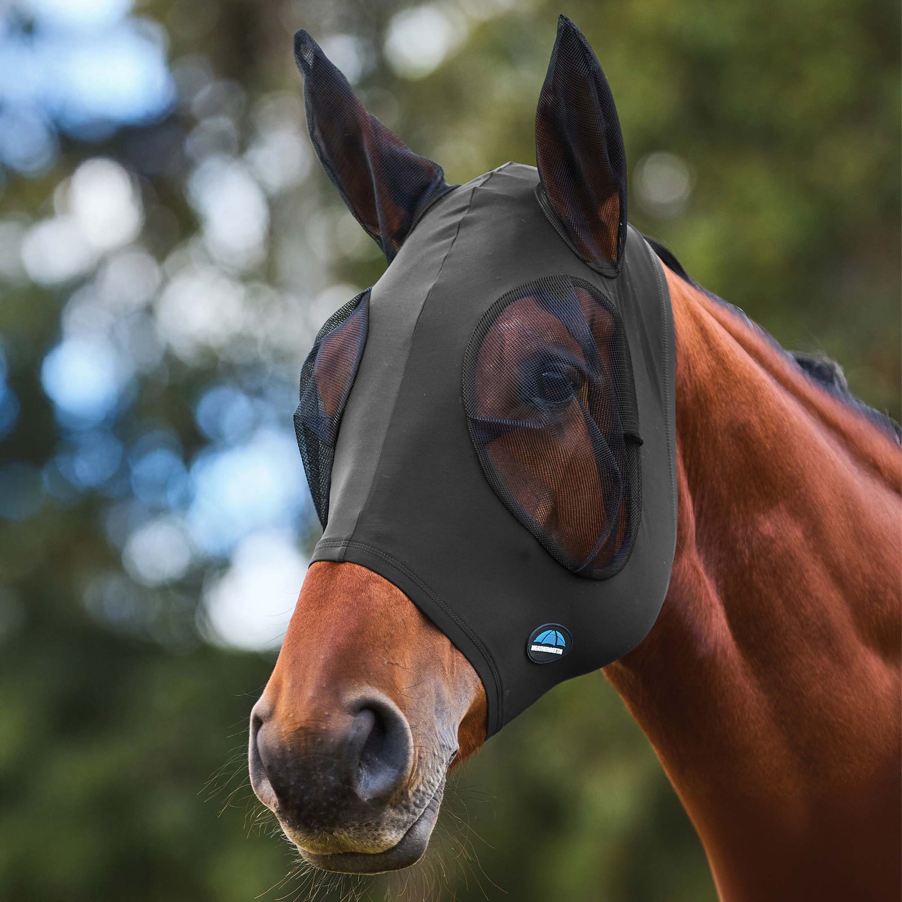 WeatherBeeta ComFiTec Stretch Horse Fly Mask with Ears, Charcoal/Black, Small