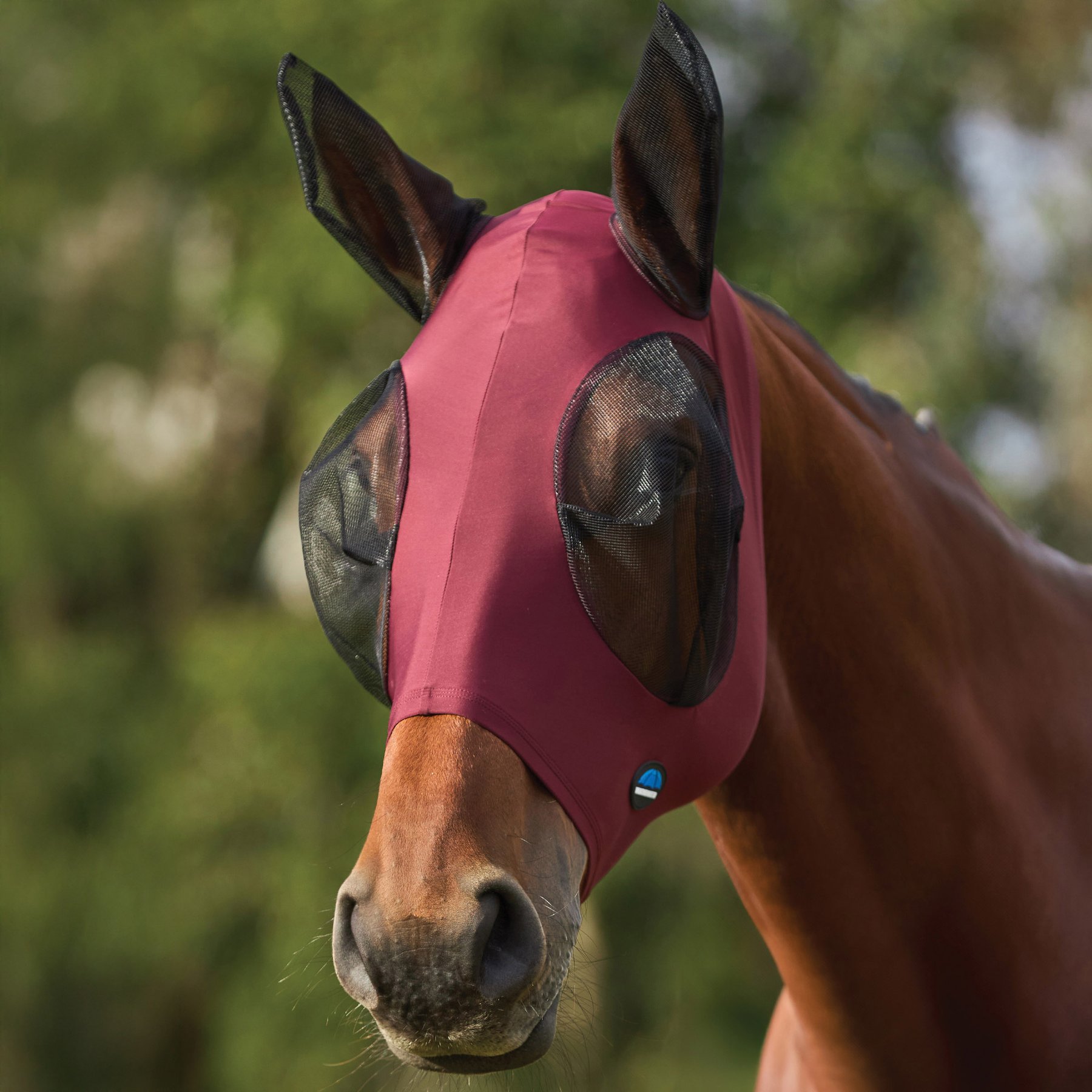 WeatherBeeta ComFiTec Stretch Horse Fly Mask with Ears, Burgundy/Black, Medium