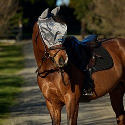 WeatherBeeta ComFiTec Hexi Shield Ride On Horse Fly Mask, Silver, Small slide 2 of 4