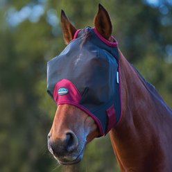 WeatherBeeta ComFiTec Fine Mesh Horse Fly Mask, Black/Burgundy, XX-Small slide 2 of 2