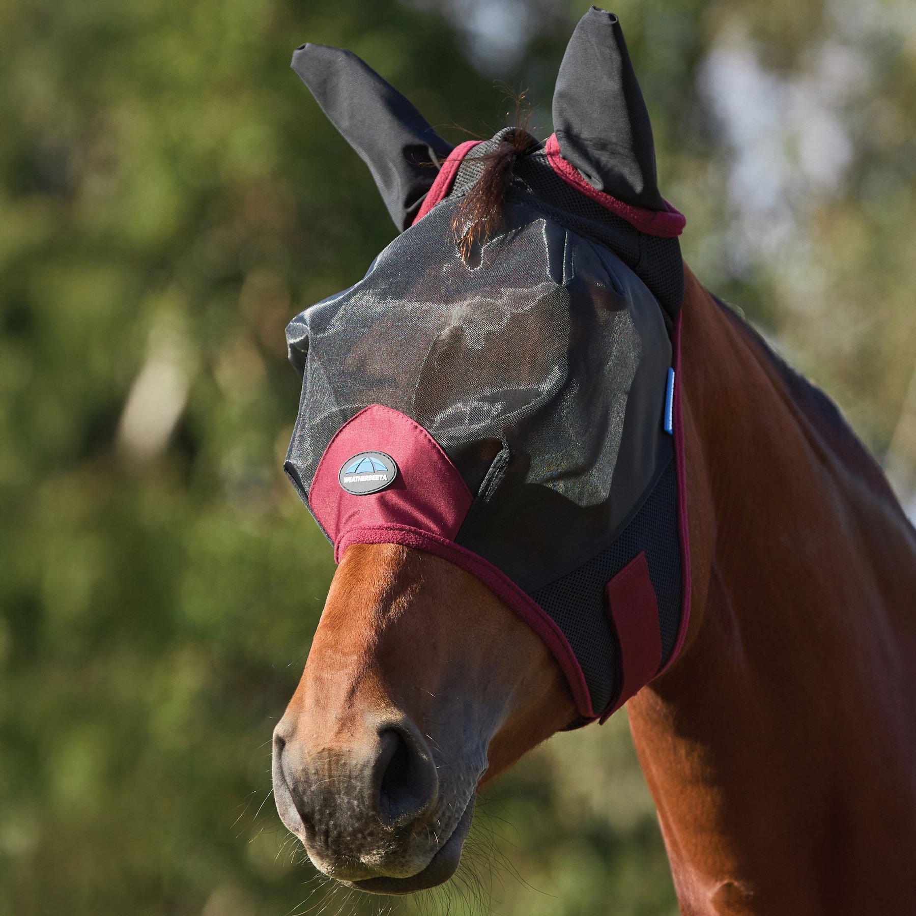 WeatherBeeta ComFiTec Fine Mesh Fly Mask with Ears, Black/Burgundy, Medium