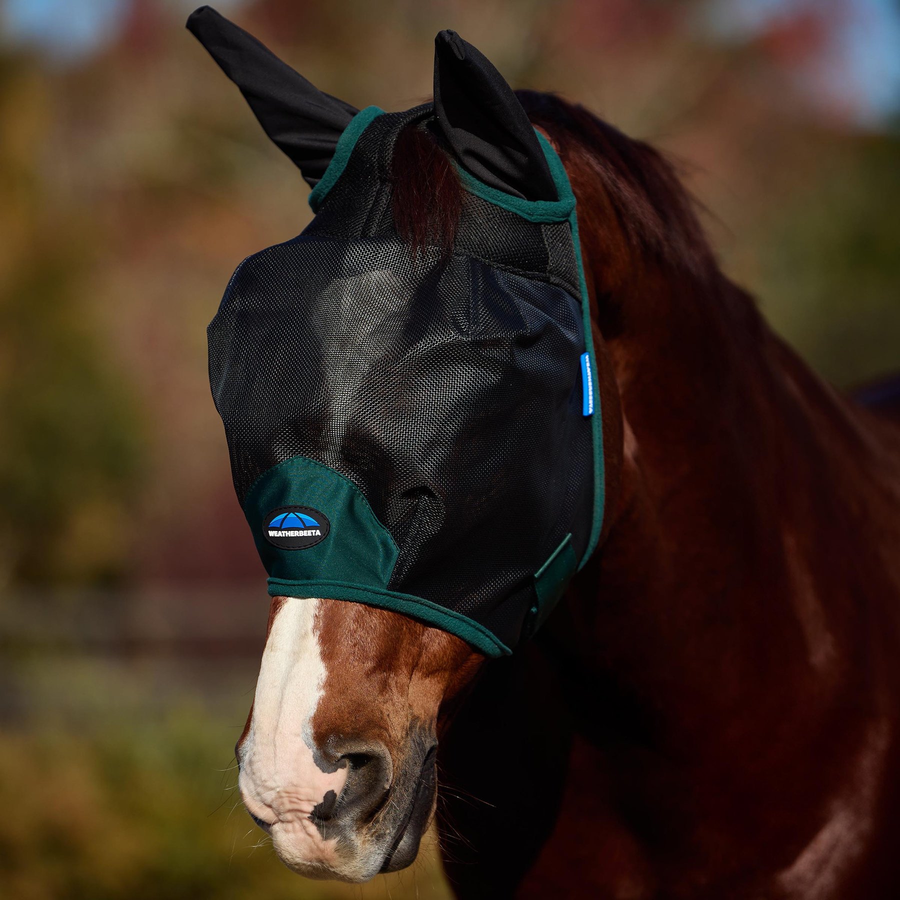 WeatherBeeta ComFiTec Durable Mesh Horse Fly Mask with Ears, Black/Forest Green, X-Small