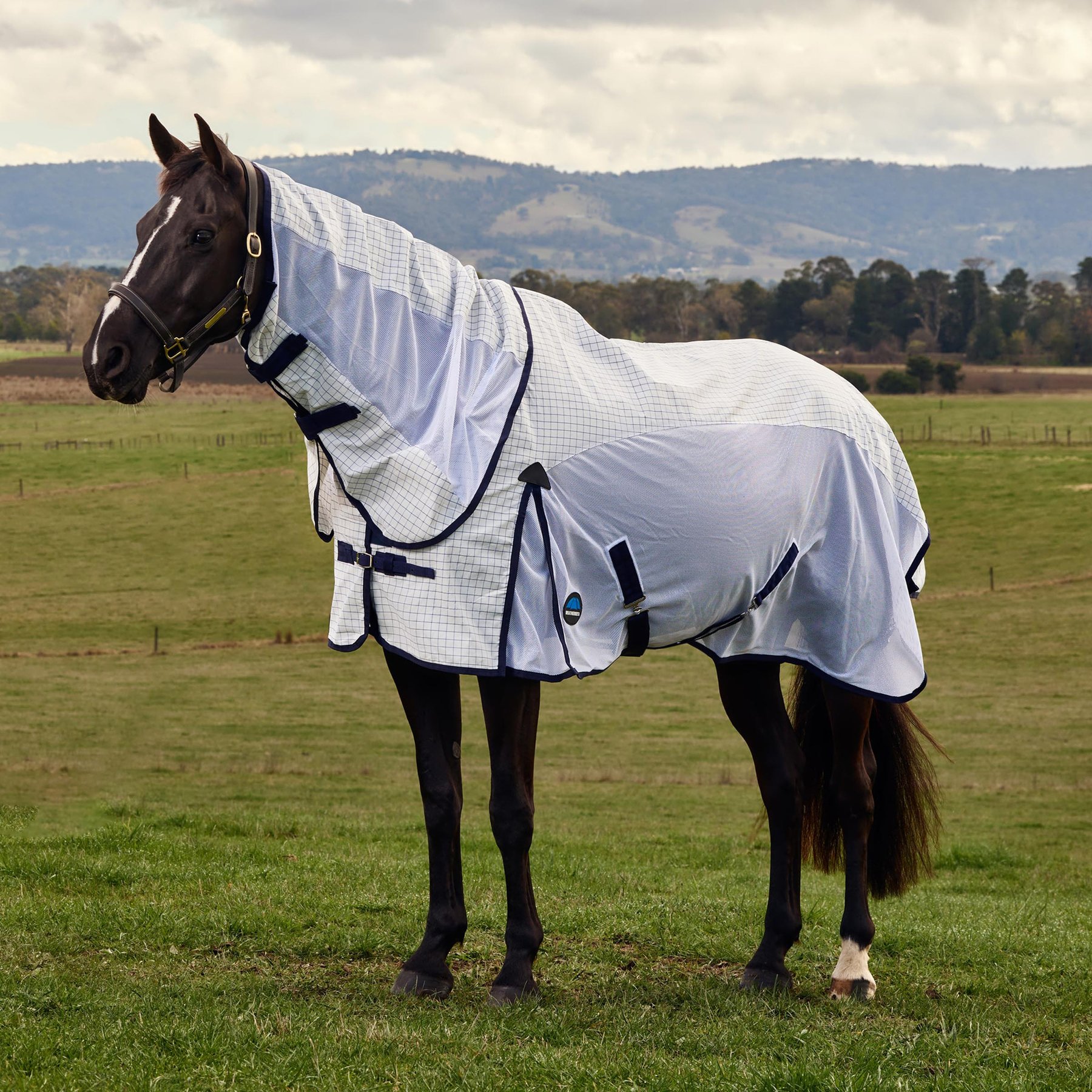WeatherBeeta Airstream Detach-A-Neck Horse Fly Sheet, White/Navy, 81-in