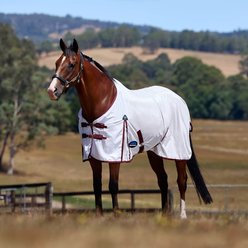 WeatherBeeta ComFiTec Essential Horse Fly Sheet, White/Burgundy, 84-in