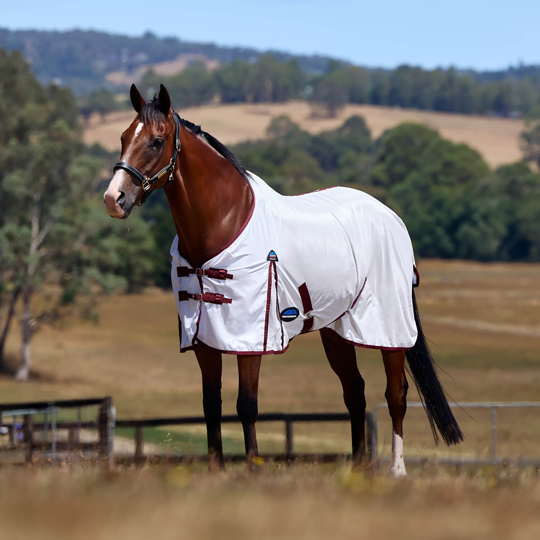 WeatherBeeta ComFiTec Essential Horse Fly Sheet, White/Burgundy, 66-in