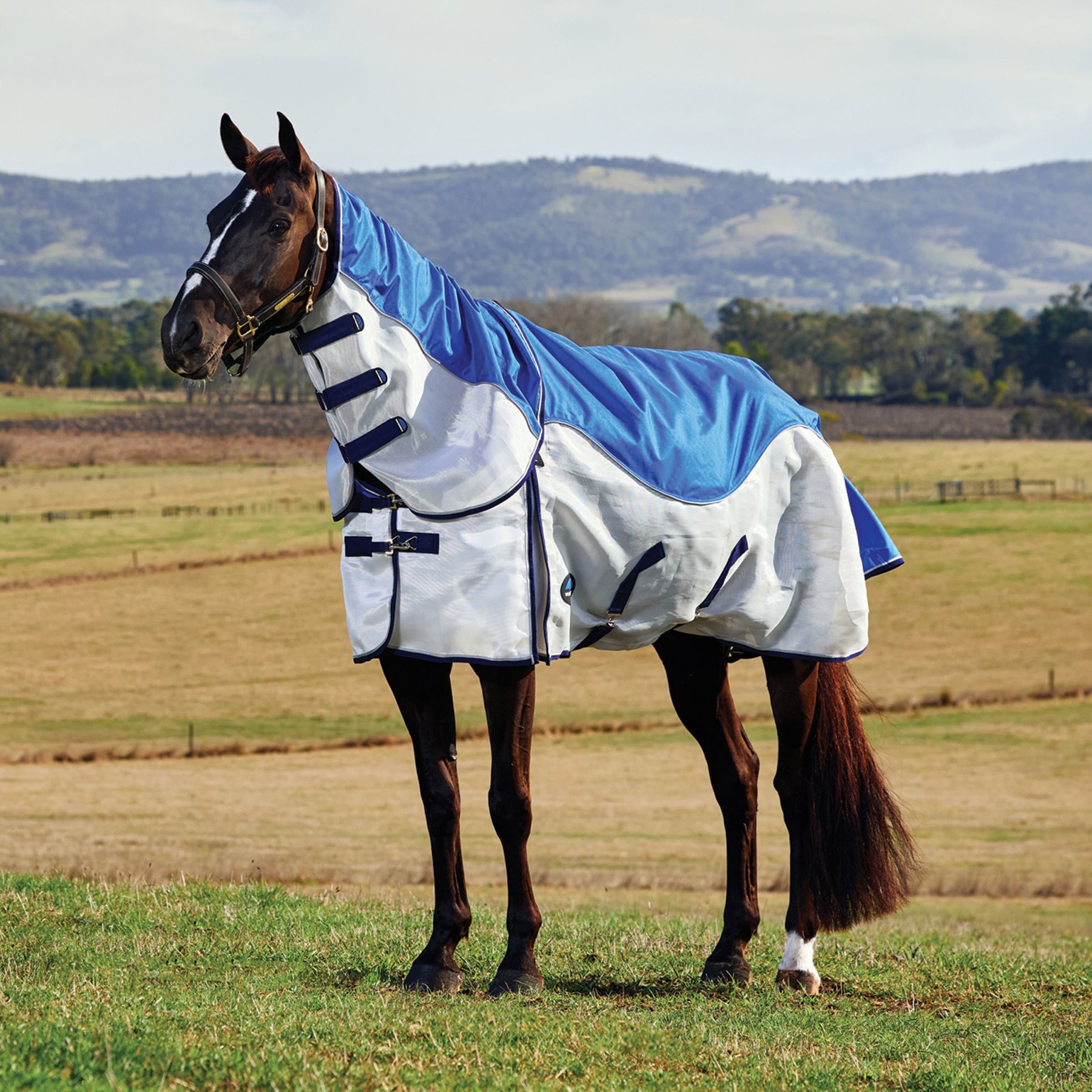 WeatherBeeta ComFiTec Duo Shield Detach-A-Neck Horse Turnout, Blue/Silver/Navy, 69-in