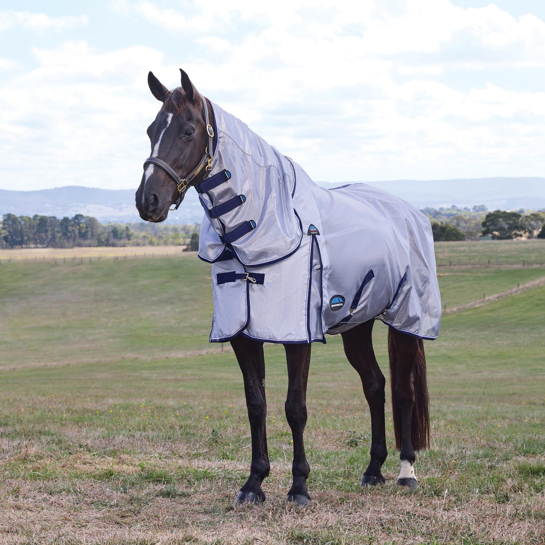 WeatherBeeta ComFiTec Hexi Shield Horse Fly Sheet Combo, Silver/Navy/White, 78-in