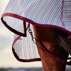 WeatherBeeta ComFiTec Ripshield Detach-A-Neck Horse Fly Sheet, White/Burgundy, 78-in slide 2 of 7