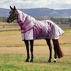WeatherBeeta ComFiTec Ripshield Detach-A-Neck Horse Fly Sheet, White/Burgundy, 69-in