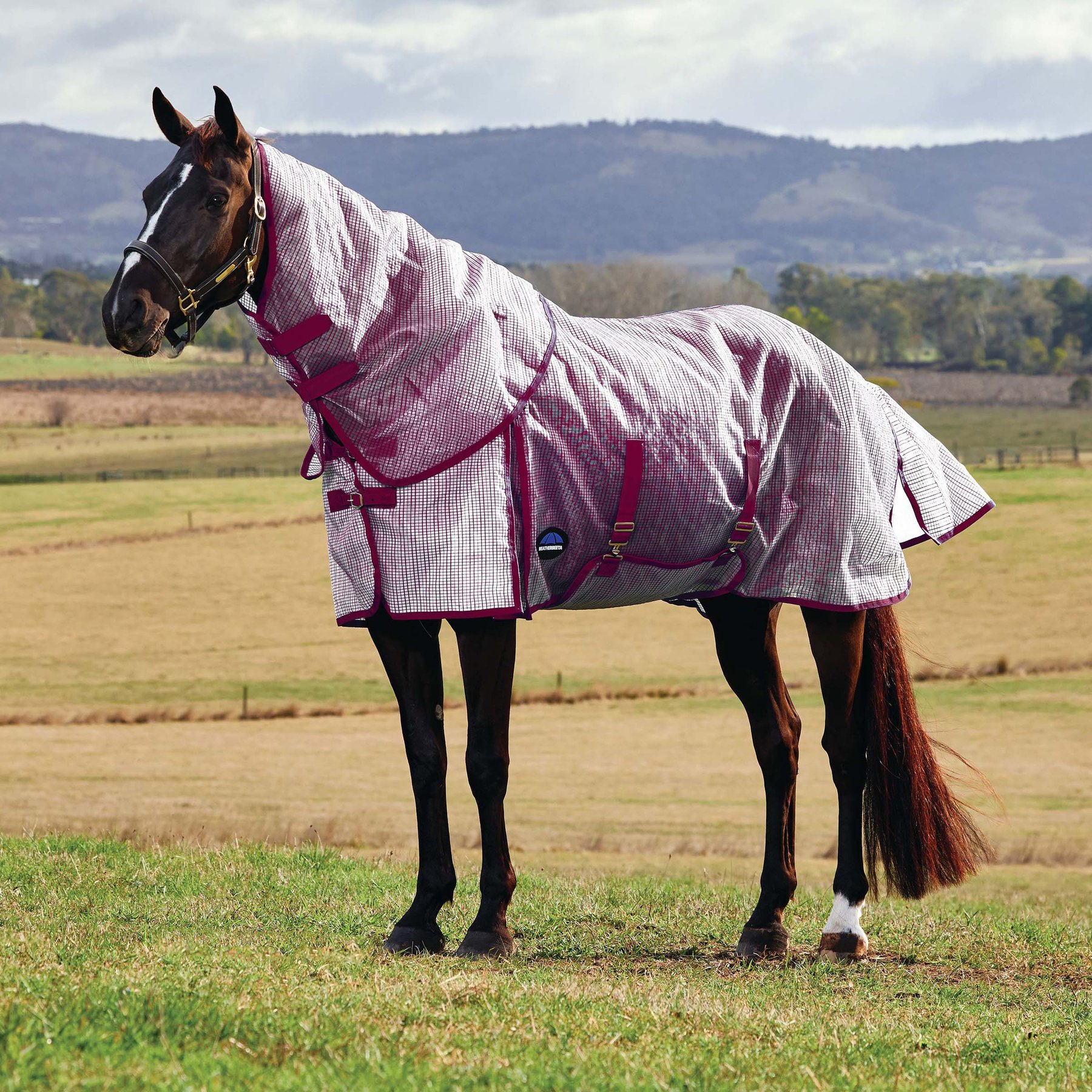 WeatherBeeta ComFiTec Ripshield Detach-A-Neck Horse Fly Sheet, White/Burgundy, 75-in