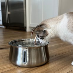 KittySpout The KittySpout 2.0 Stainless Steel Cat Fountain slide 2 of 7