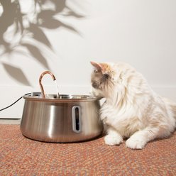 KittySpout The KittySpout 2.0 Stainless Steel Cat Fountain slide 1 of 7
