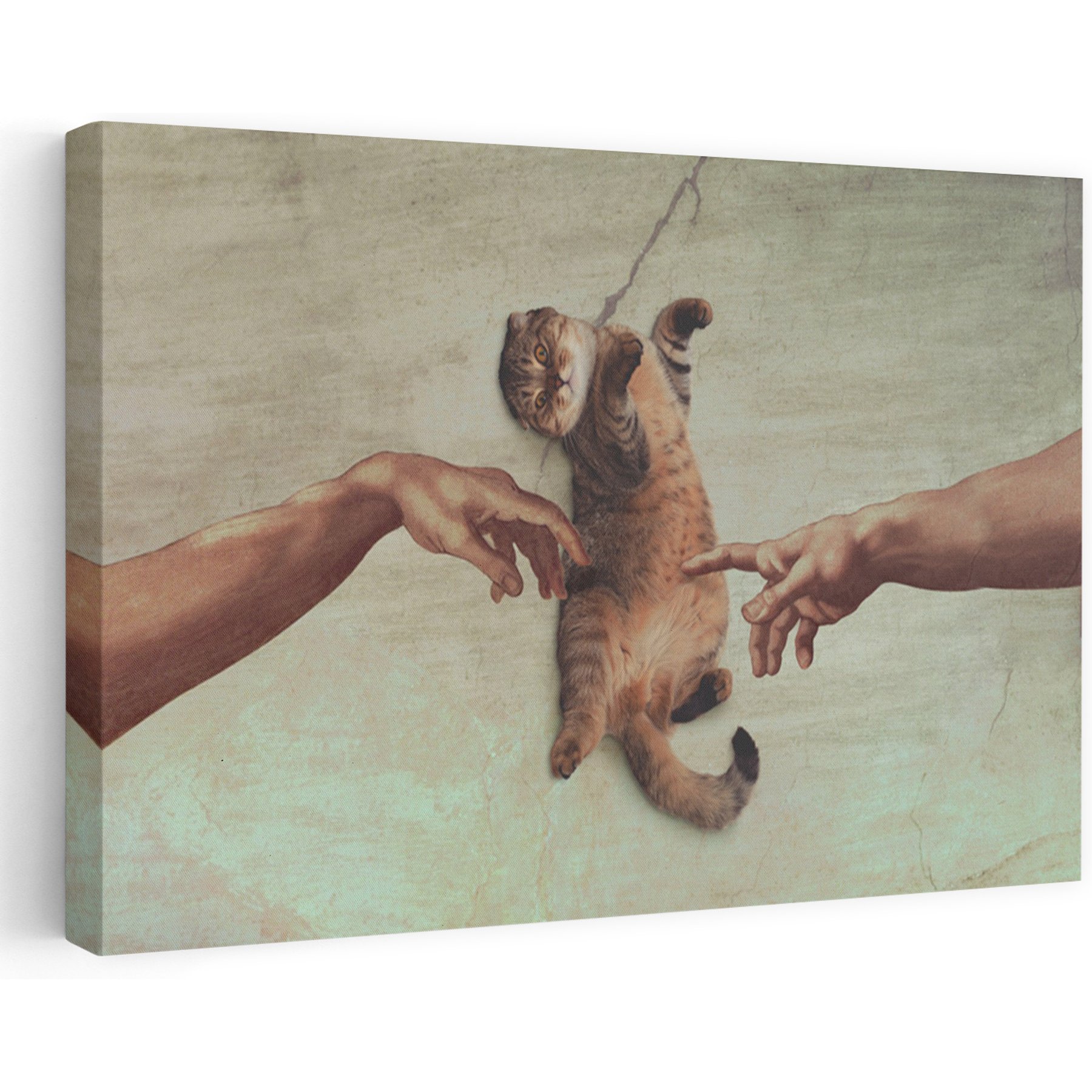 Trend Board Life Touch of the Kitty Canvas Wall Art Pet Gift Decor, Multicolor, 24 x 16-in