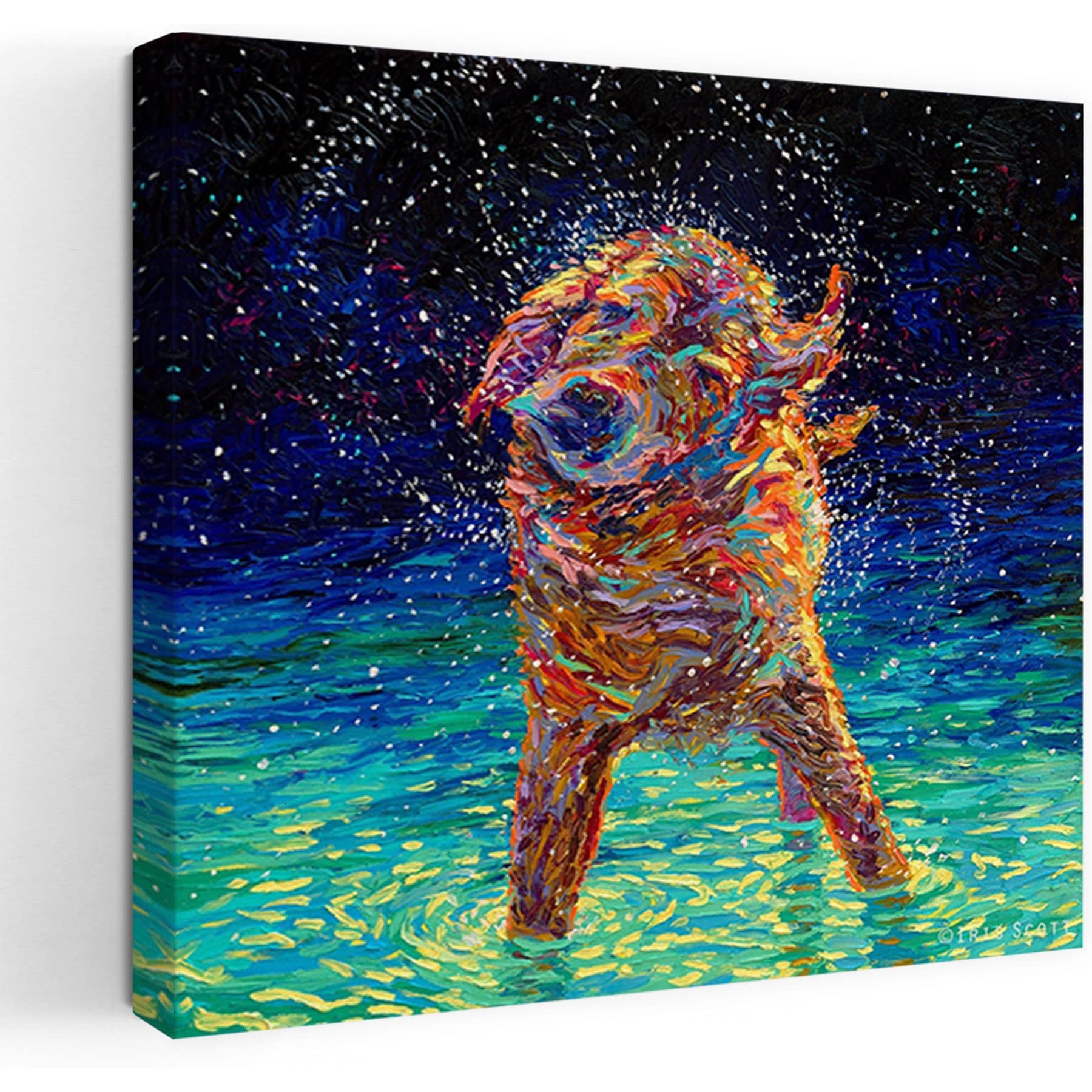 Trend Board Life Moonlight Swim by Iris Scott Canvas Wall Art Pet Gift Decor, 32 x 32-in