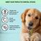 Show in main carousel: The Pets Table Dental Chicken, Mint & Parsley Dental Chew Stick Treats for Dogs, 20-oz bag, 28 count slide 3 of 10