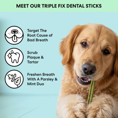 Show full view: The Pets Table Dental Chicken, Mint & Parsley Dental Chew Stick Treats for Dogs, 20-oz bag, 28 count slide 3 of 10