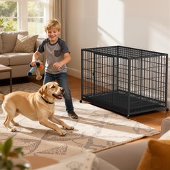 Fuzzy Bird Three-Door Wire Metal Cage Dog Crate with Removable Tray & Wheels, Black, Medium: 42-in slide 2 of 7
