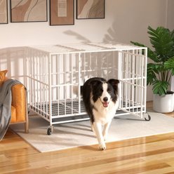 Fuzzy Bird Indoor Escape-Proof Double-Door Steel Pet Cage with Removable Tray & Wheels, White, 48-in slide 2 of 8