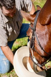 Ovation OV Rope Gag Cheek Horse Training Aid, Dark Brown, 1/2 x 16 slide 2 of 7