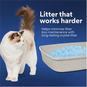 Chewy Made Crystal Scented Non-Clumping Cat Litter (FORMERLY FRISCO), 8-lb bag