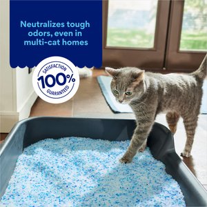 Chewy Made Crystal Scented Non-Clumping Cat Litter (FORMERLY FRISCO), 8-lb bag