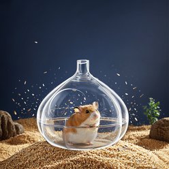 NonoPets Transparent Teardrop Hamster Sand Bath House slide 2 of 3