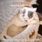 Show in main carousel: CheerPals Pet Cave Dog & Cat Bed, Light Grey slide 2 of 9