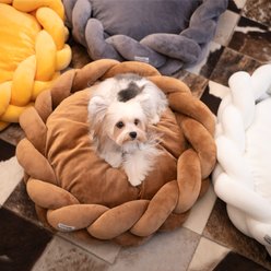 CheerPals Twisted Weave Dog & Cat Bed, Gray slide 2 of 9