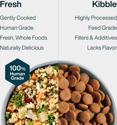JustFoodForDogs Sensitive Skin Fresh Frozen Human-Grade Seafood & Fish Fresh Dog Food, 18-oz pouch, case of 7 slide 2 of 9