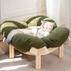 CheerPals Elevated Wooden Sofa Dog & Cat Bed with Removable Washable Cover, Green