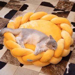 CheerPals Twisted Weave Dog & Cat Bed, Yellow