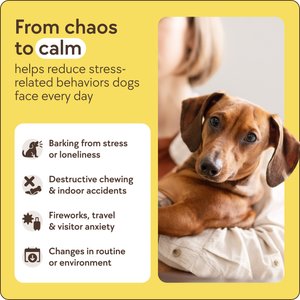 TherapetMD Dog Calming Diffuser Refills