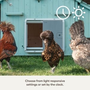 Omlet Smart Automatic Door Opener Chicken Coop Accessory, Grey