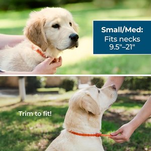 Wondercide Flea, Tick, Mosquito Repellent Collar for Dogs, Small/Medium, 3 count