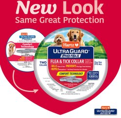 Hartz Ultra Guard ProMax Flea & Tick Collar for Dogs, 2 collars (12-mos. supply), Gray slide 2 of 8