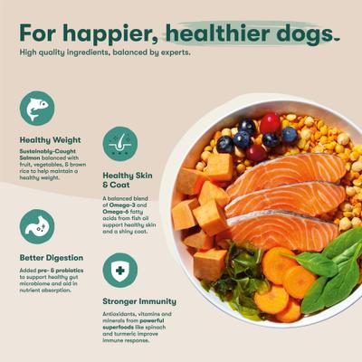 Show full view: Jinx Salmon, Sweet Potato & Carrot ALS Kibble Dog Dry Food, 23.5-lb bag slide 4 of 12