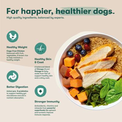 Show full view: Jinx Chicken, Brown Rice & Sweet Potato ALS Kibble Dog Dry Food, 23.5-lb bag slide 4 of 13