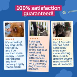 Happy Paws Hip & Joint Soft Chews Supplement for Dogs, 100 count slide 2 of 9