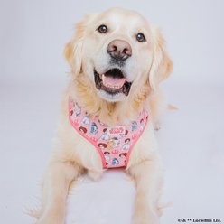 Sassy Woof STAR WARS Princess Leia Dog Adjustable Harness, Small: 16 to 21-in chest slide 2 of 9