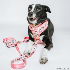 Sassy Woof STAR WARS Princess Leia Dog Collar, X-Small: 9.5-in neck, 1/3-in wide slide 2 of 8