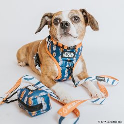 Sassy Woof STAR WARS Ahsoka Dog Adjustable Harness, Large: 22 to 33-in chest slide 2 of 7